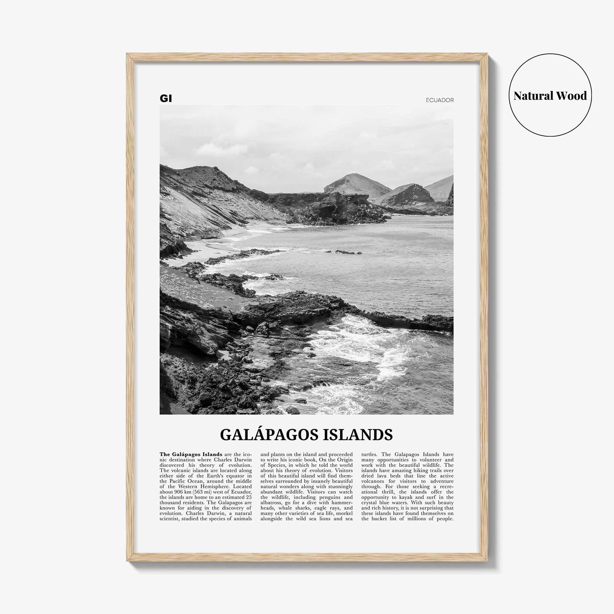 Galapagos Islands Print Black and White, Galápagos Islands Wall Art, Galápagos Islands Poster, Galápagos Islands Photo, Galápagos Wall Décor