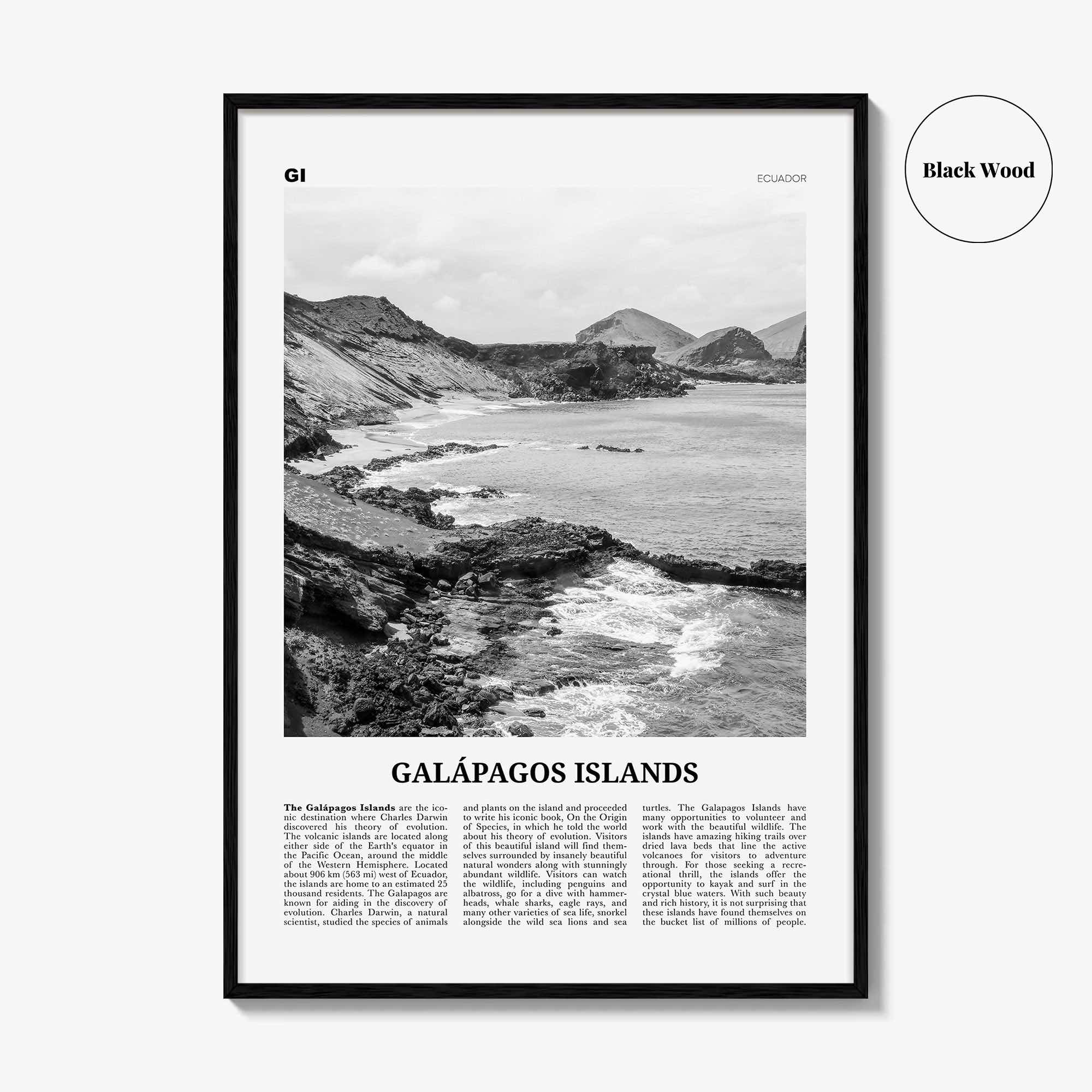 Galapagos Islands Print Black and White, Galápagos Islands Wall Art, Galápagos Islands Poster, Galápagos Islands Photo, Galápagos Wall Décor
