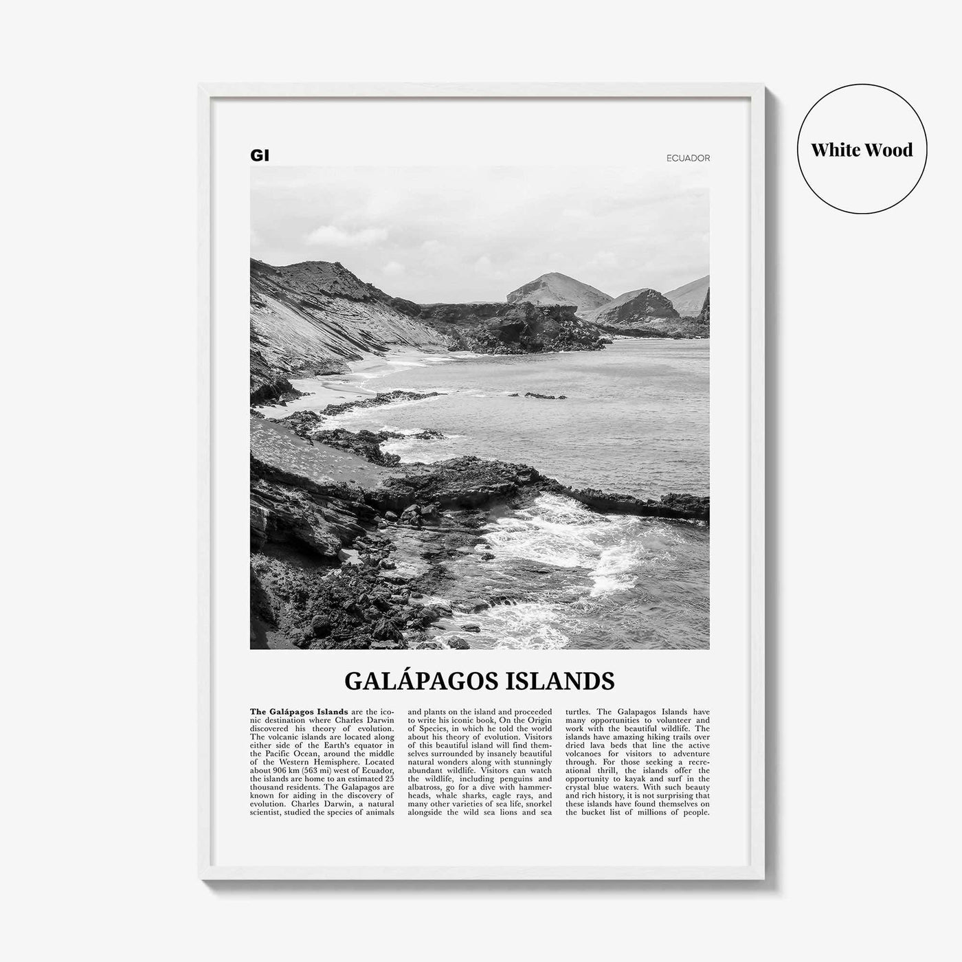 Galapagos Islands Print Black and White, Galápagos Islands Wall Art, Galápagos Islands Poster, Galápagos Islands Photo, Galápagos Wall Décor