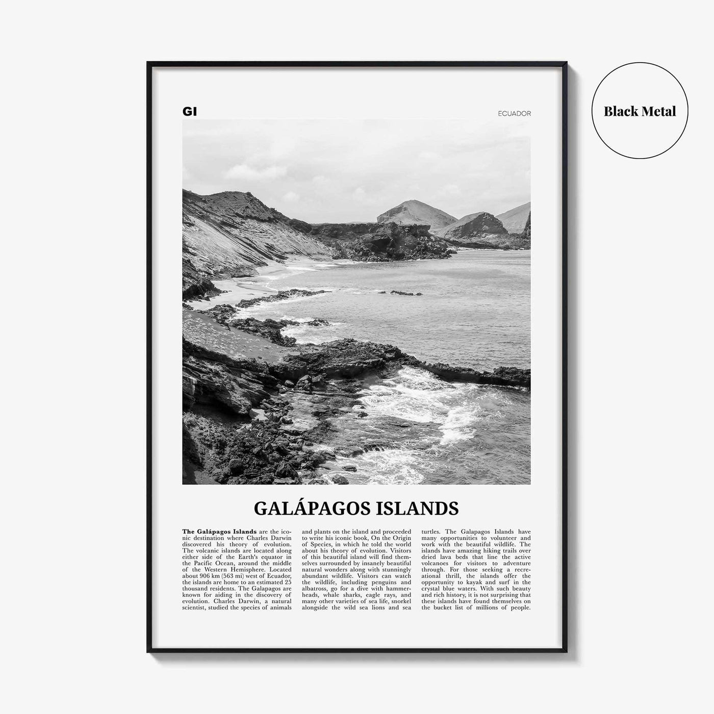 Galapagos Islands Print Black and White, Galápagos Islands Wall Art, Galápagos Islands Poster, Galápagos Islands Photo, Galápagos Wall Décor