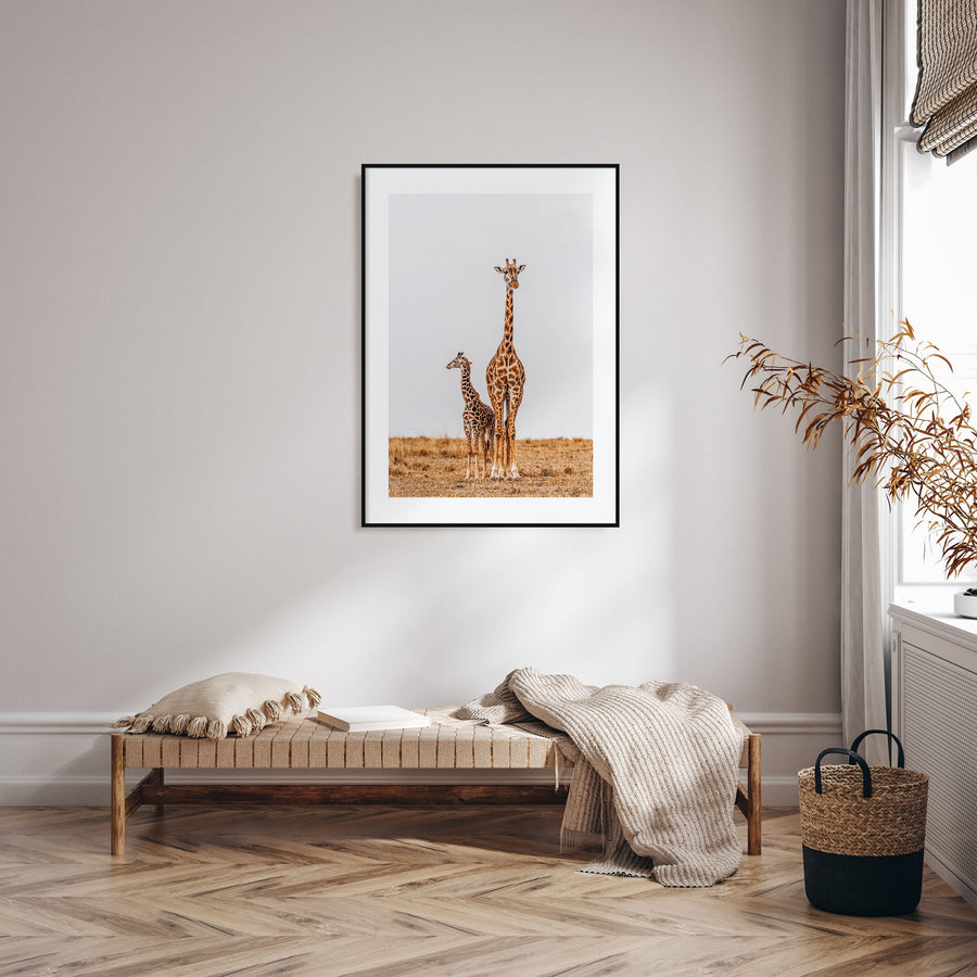 Giraffe Photo Color No 2 Poster