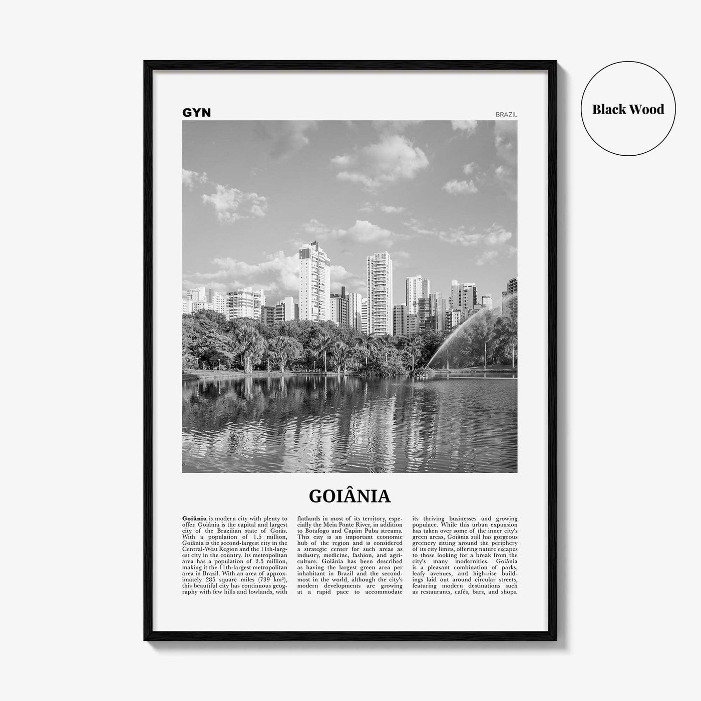 Goiania Print Black and White, Goiania Wall Art, Goiânia Poster, Goiânia Photo, Goiânia Wall Decor, Brazil, Brasil, South America