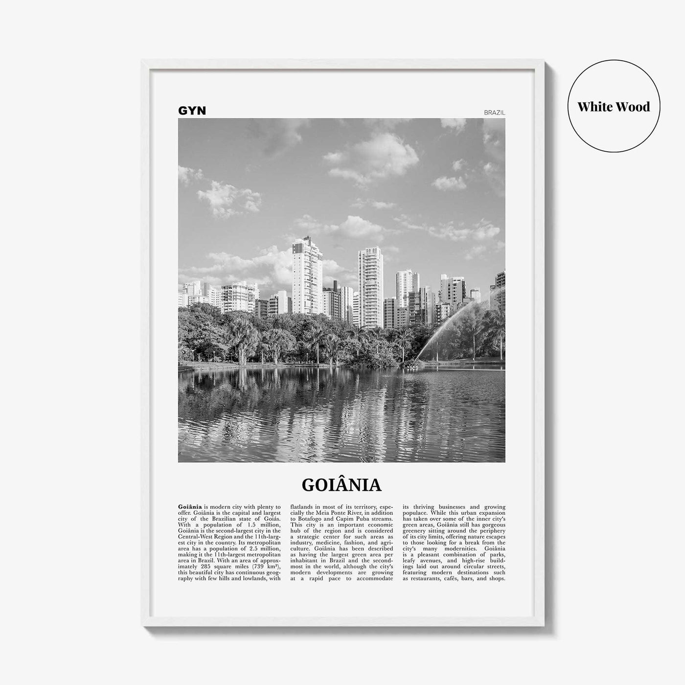 Goiania Print Black and White, Goiania Wall Art, Goiânia Poster, Goiânia Photo, Goiânia Wall Decor, Brazil, Brasil, South America