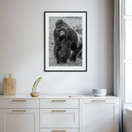 Gorilla Photo B&W Poster