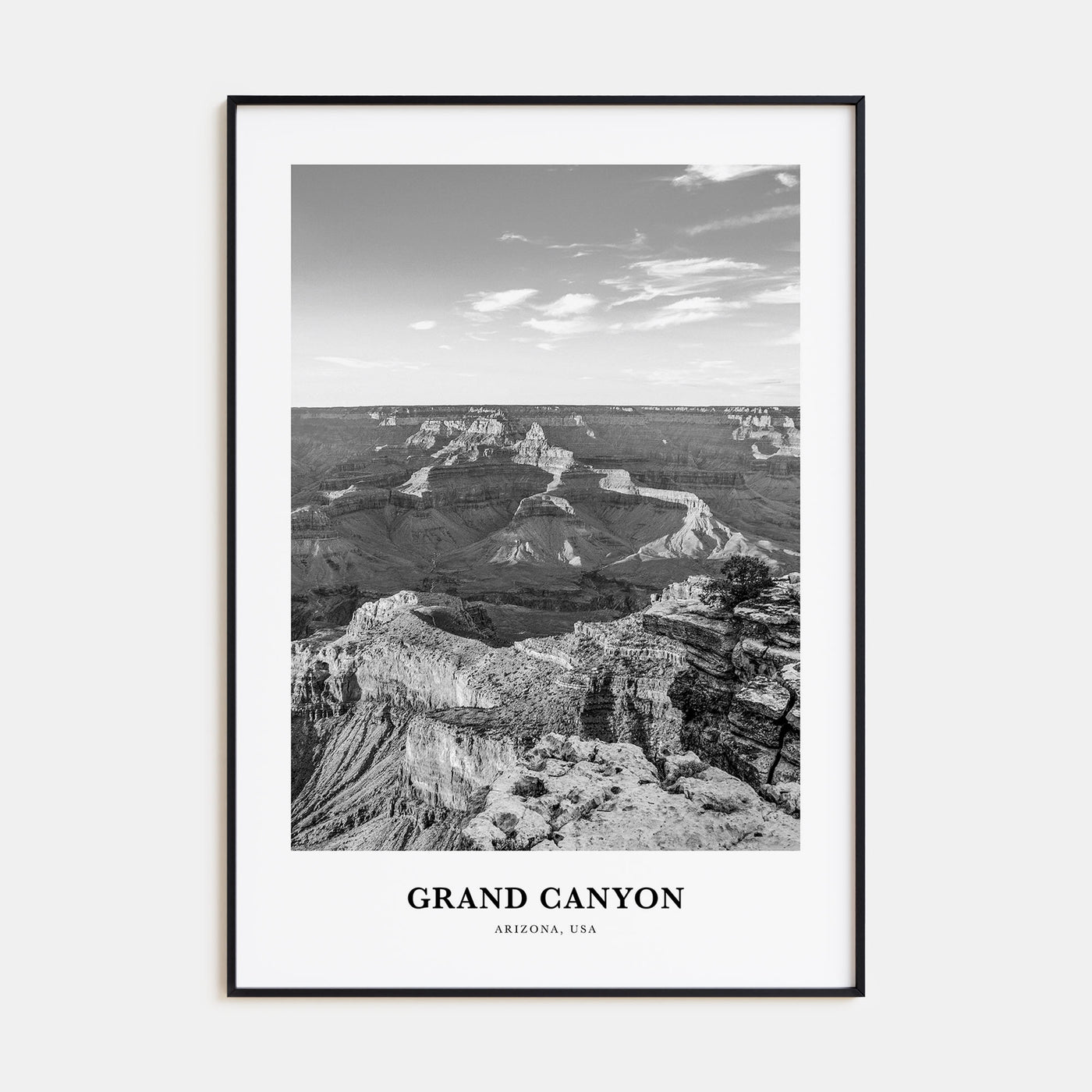 Grand Canyon Portrait B&W Poster