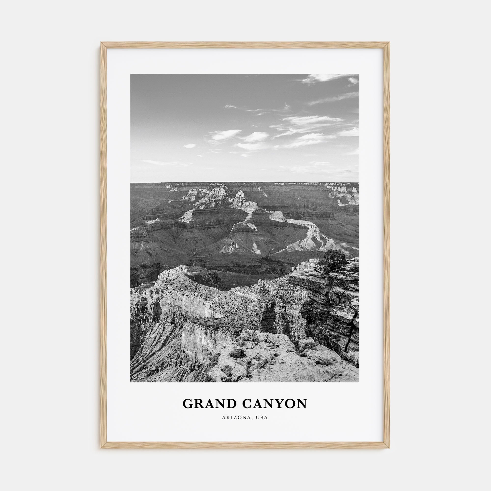 Grand Canyon Portrait B&W Poster