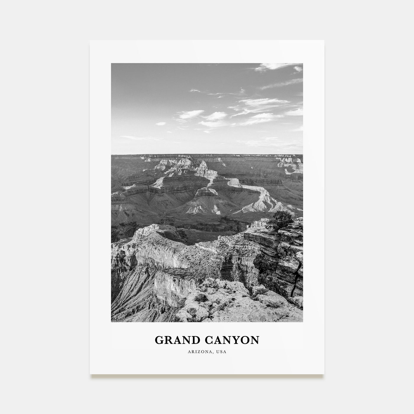 Grand Canyon Portrait B&W Poster