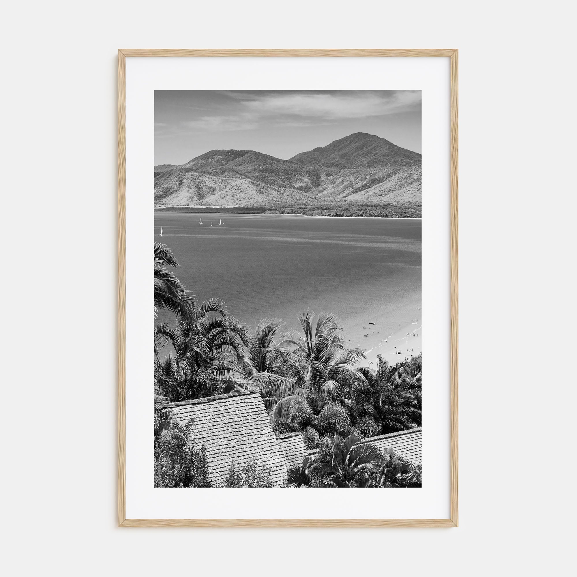 Great Barrier Reef Photo B&W Poster