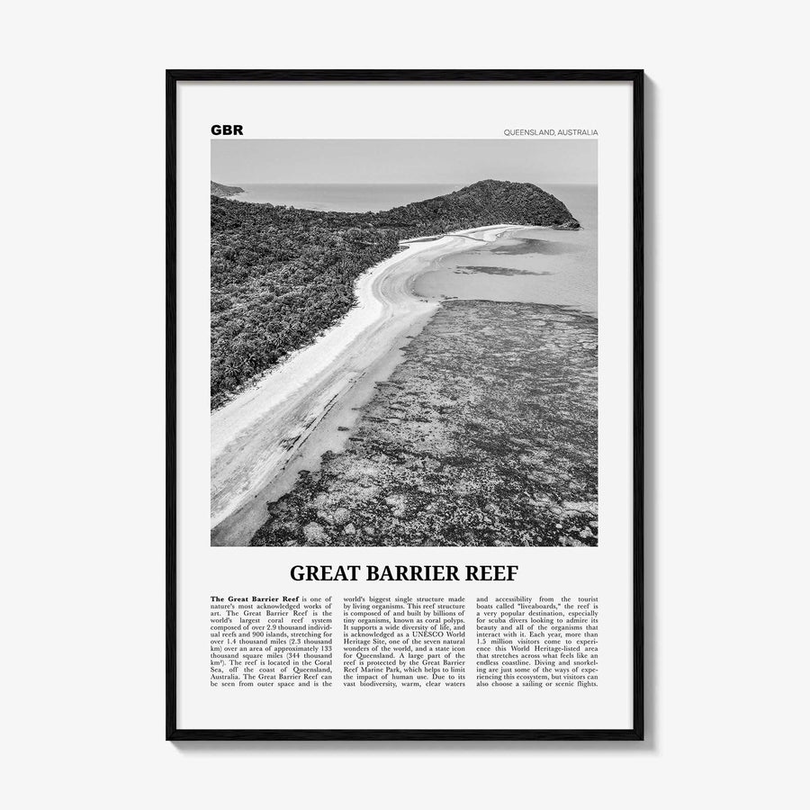 Great Barrier Reef Print Black and White, Great Barrier Reef Wall Art, Great Barrier Reef Poster, Queensland, Australia, Oceania