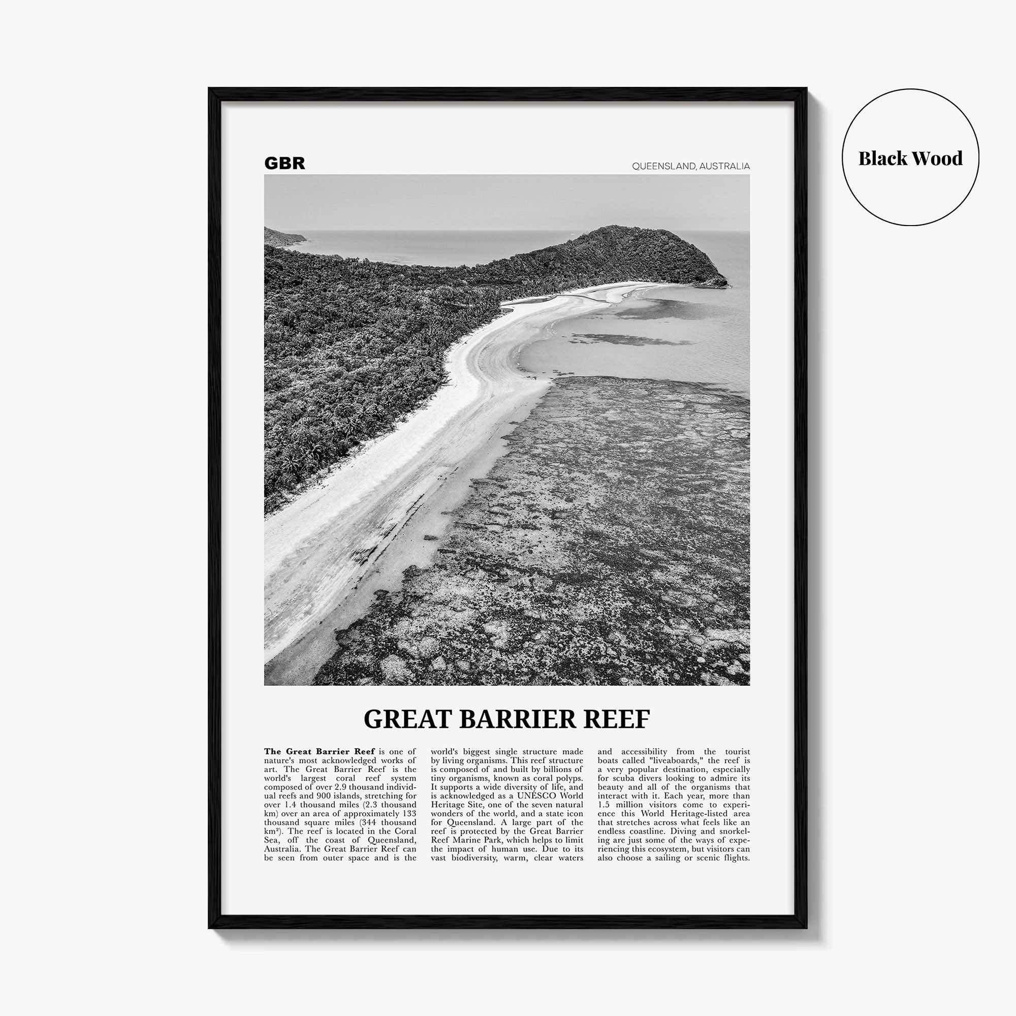 Great Barrier Reef Print Black and White, Great Barrier Reef Wall Art, Great Barrier Reef Poster, Queensland, Australia, Oceania
