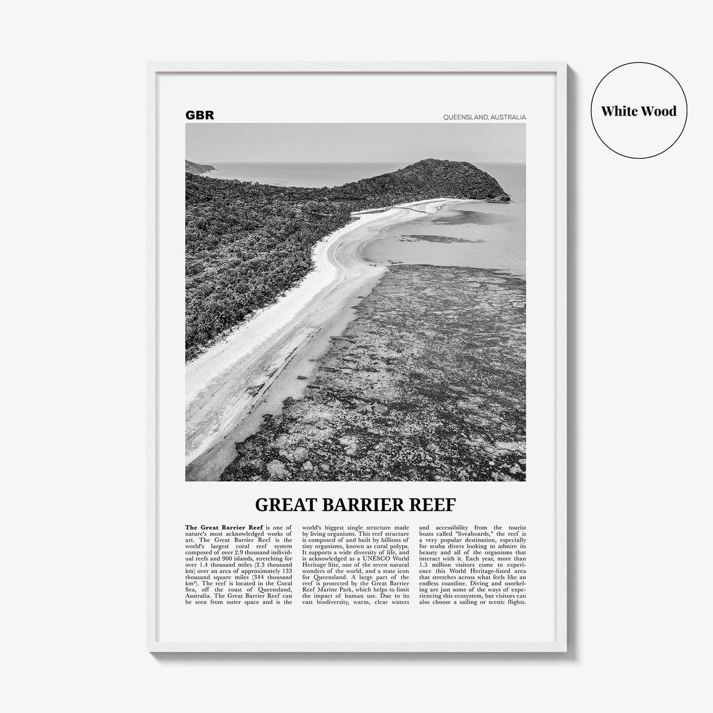 Great Barrier Reef Print Black and White, Great Barrier Reef Wall Art, Great Barrier Reef Poster, Queensland, Australia, Oceania