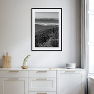 Great Smoky Mountains National Park Photo B&W Poster