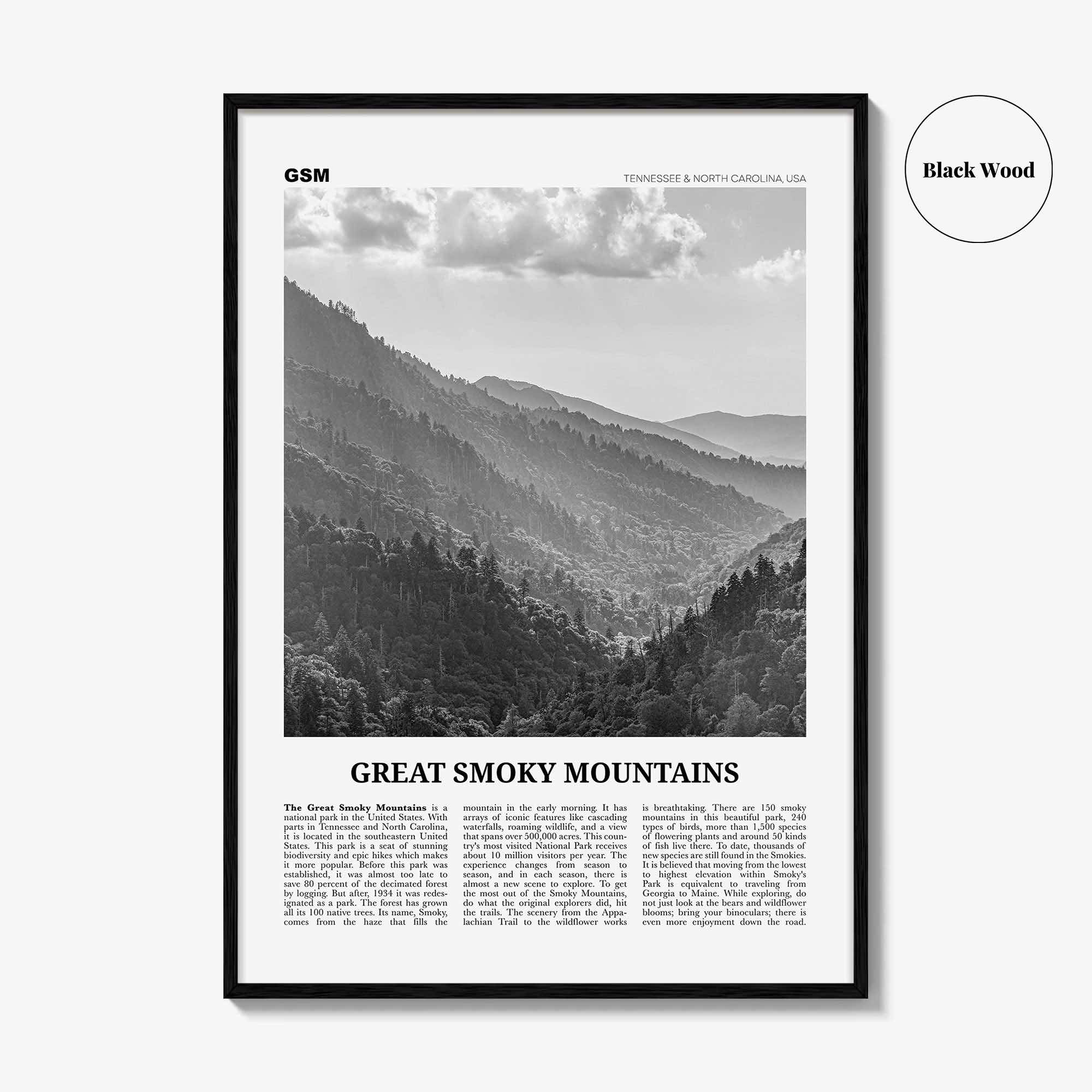 Great Smoky Mountains National Park Print Black and White, Great Smoky Mountains Wall Art, Great Smoky Mountains Poster, USA