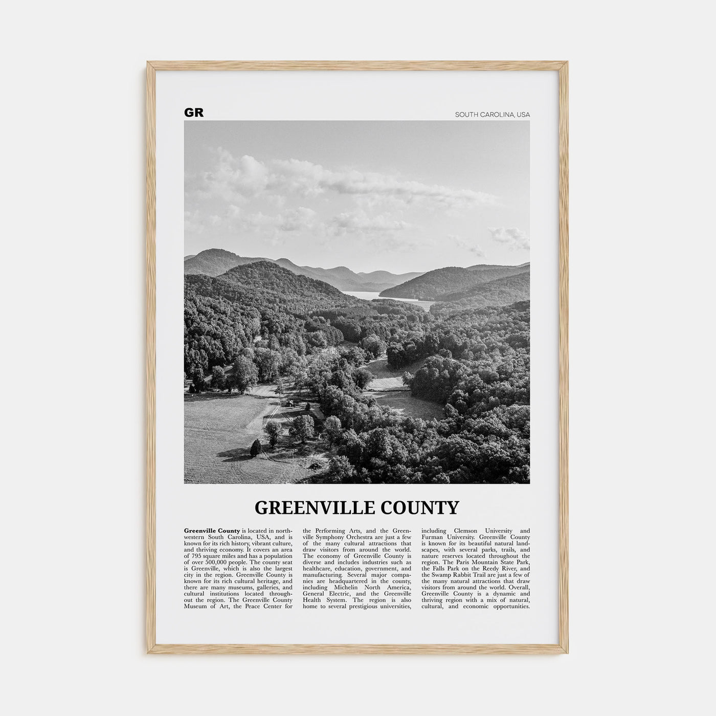 Greenville County Travel B&W Poster