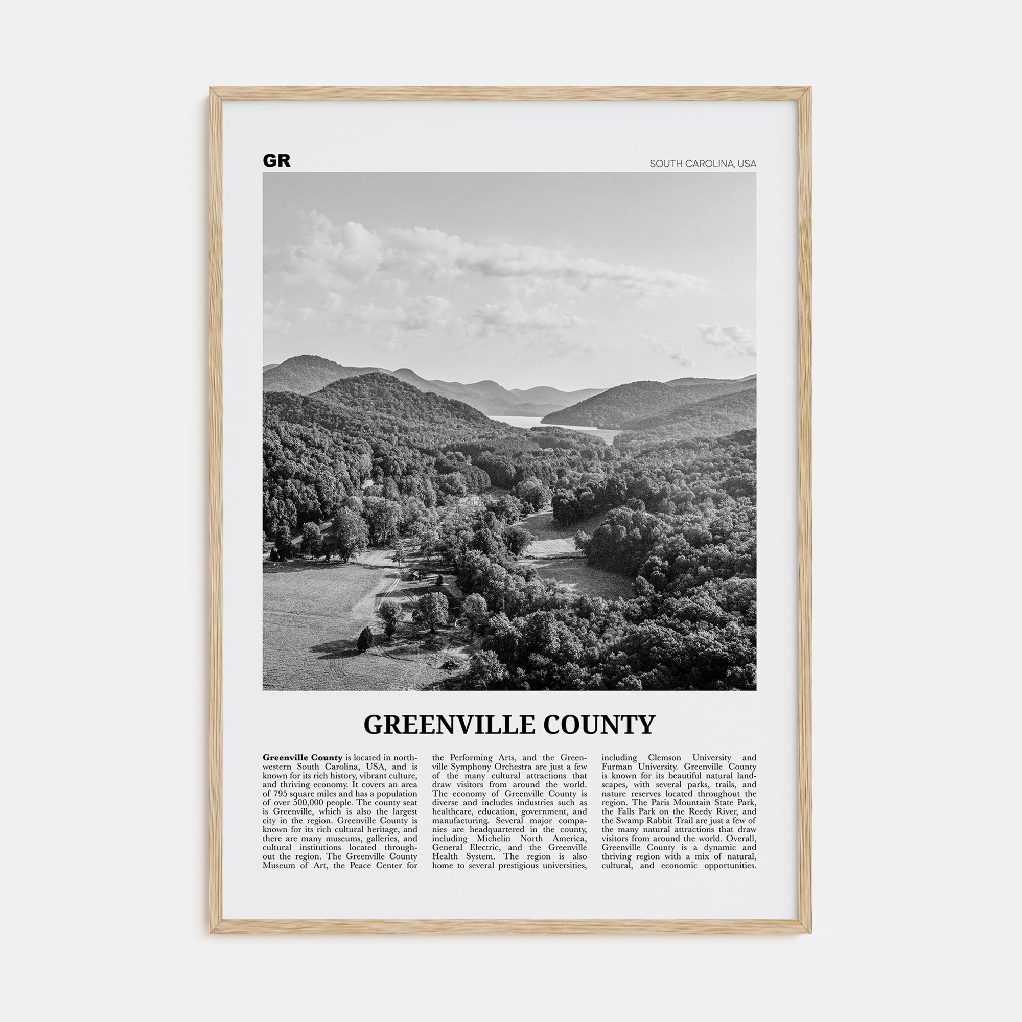 Greenville County Travel B&W Poster