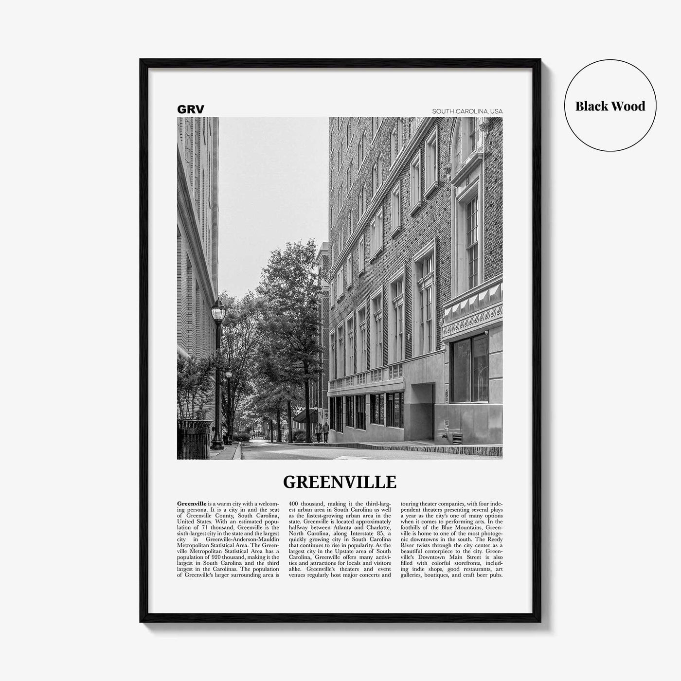 Greenville Print Black and White No 2, Greenville Wall Art, Greenville Poster, Greenville Photo, South Carolina USA, United States