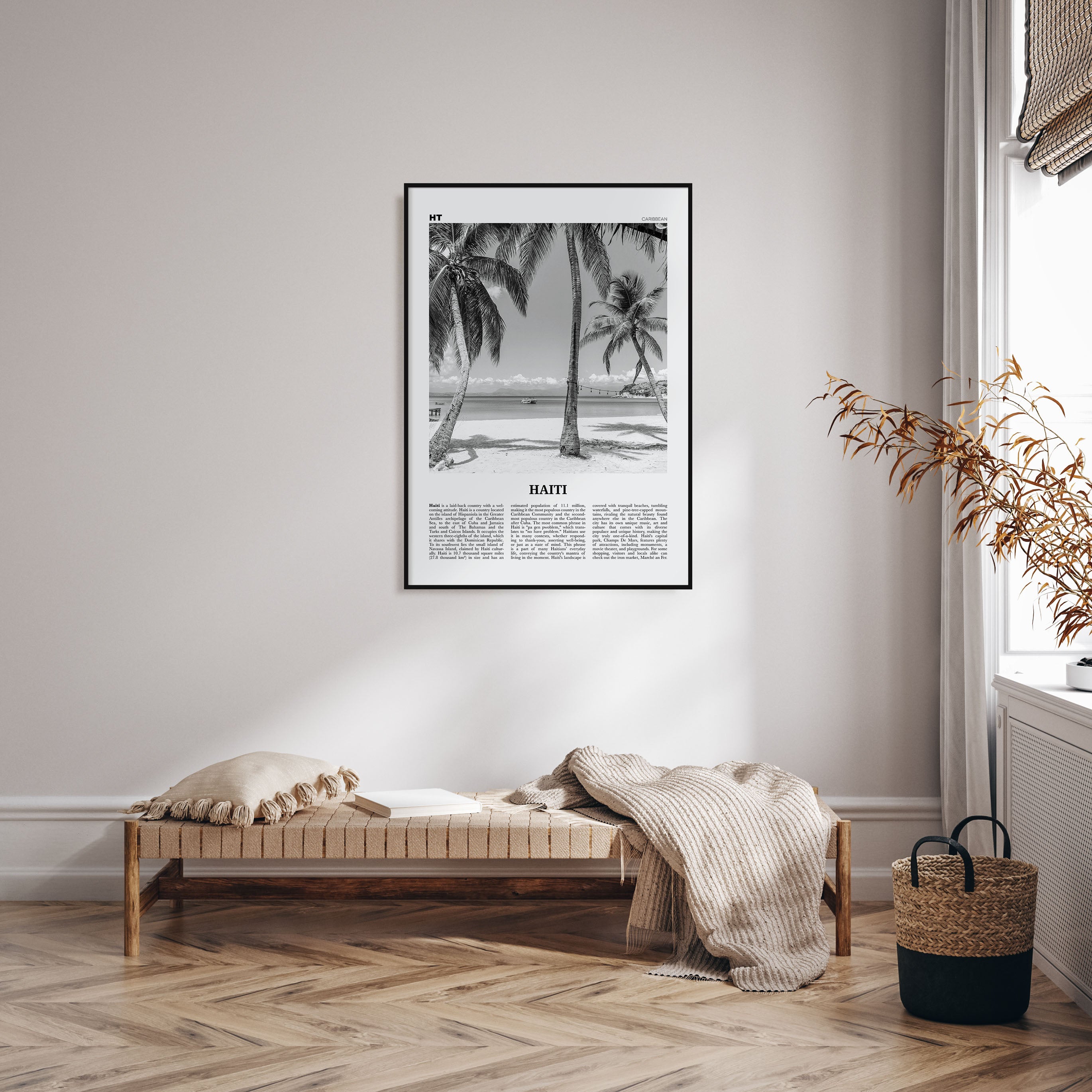 Haiti Travel B&W No 3 Poster