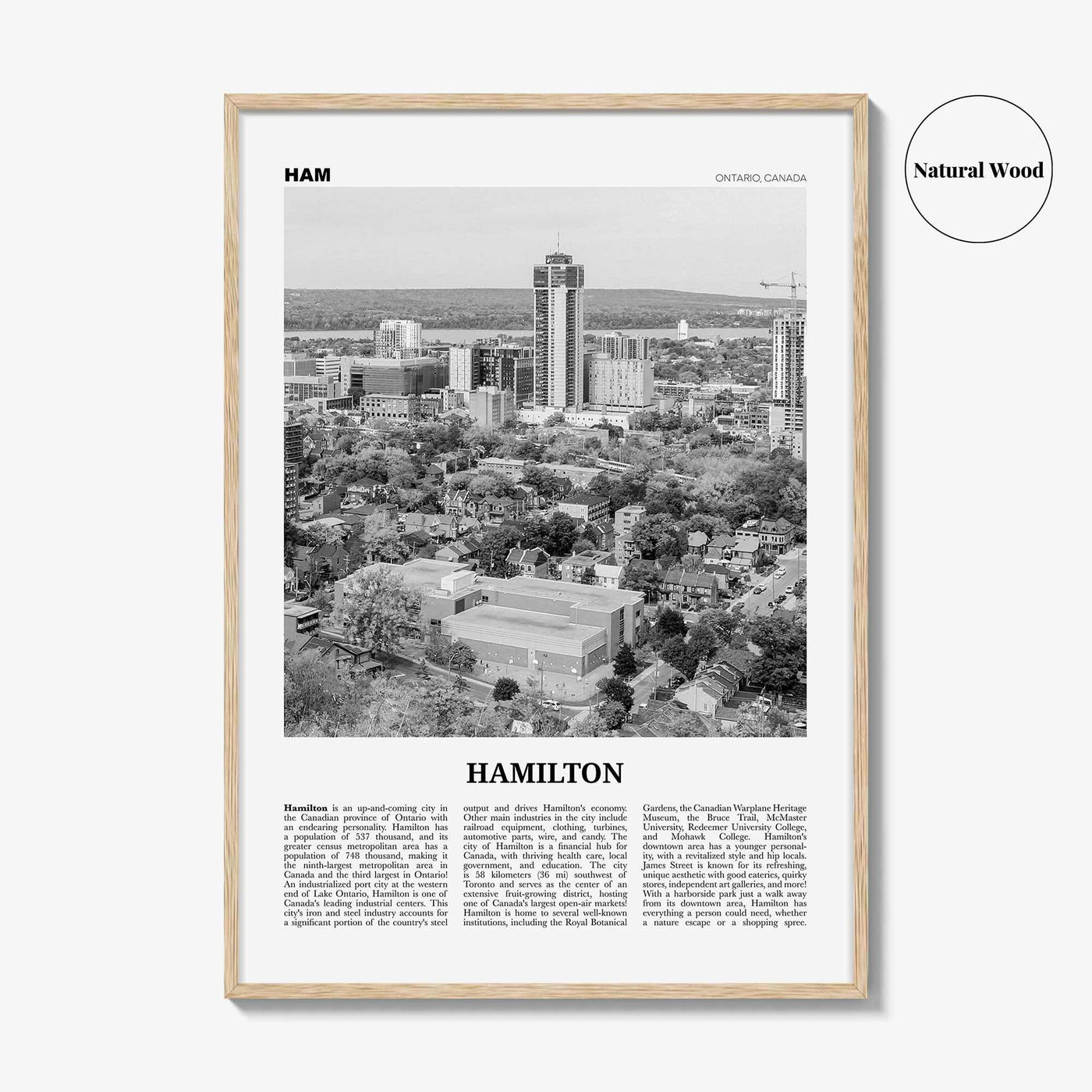 Hamilton Print Black and White Canada No 2, Hamilton Wall Art, Hamilton Poster, Hamilton Photo, Hamilton Decor, Ontario, Canada