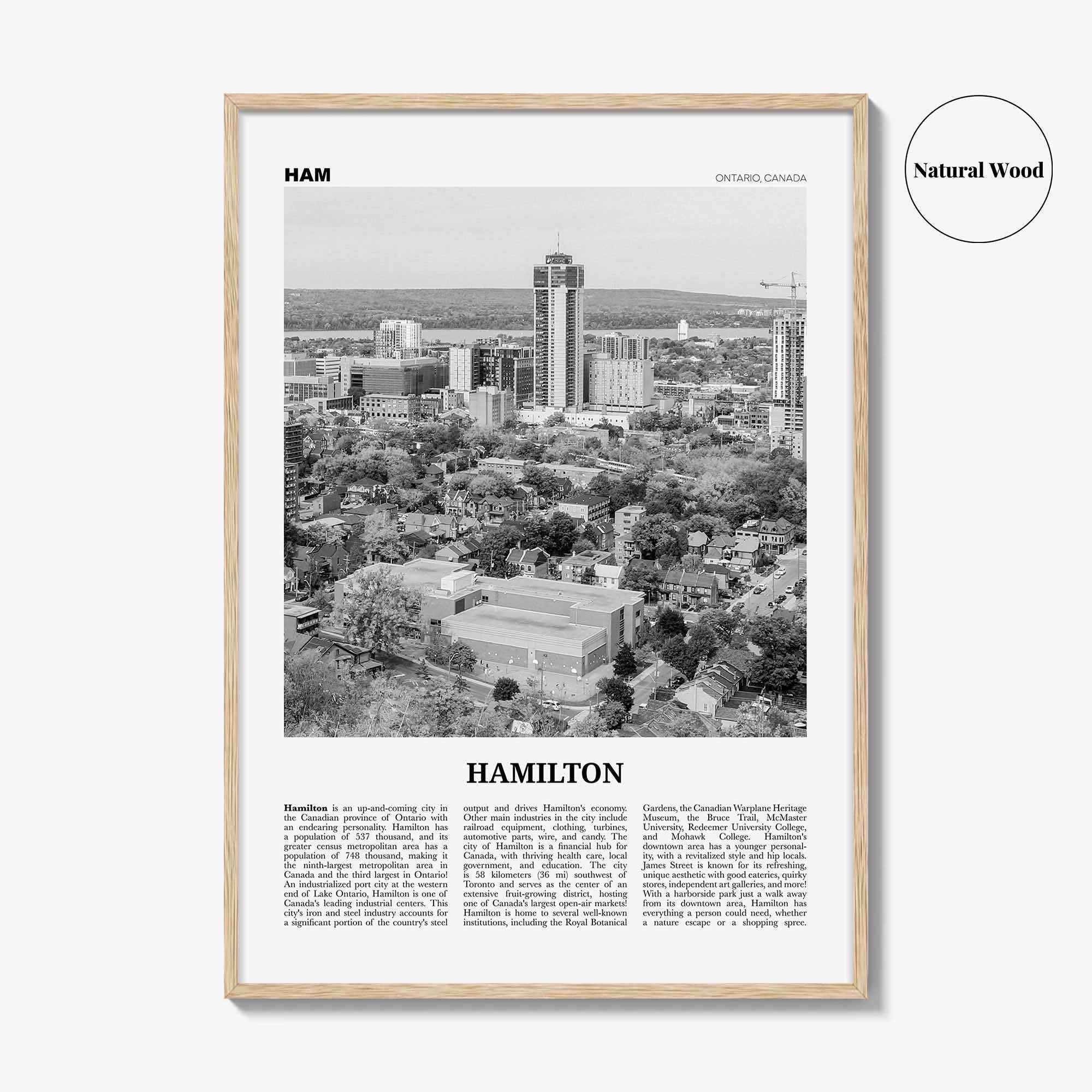 Hamilton Print Black and White Canada No 2, Hamilton Wall Art, Hamilton Poster, Hamilton Photo, Hamilton Decor, Ontario, Canada