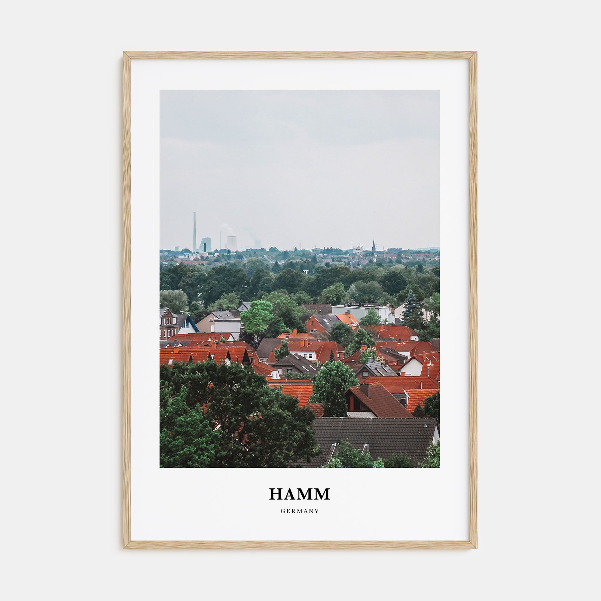 Hamm Portrait Color Poster