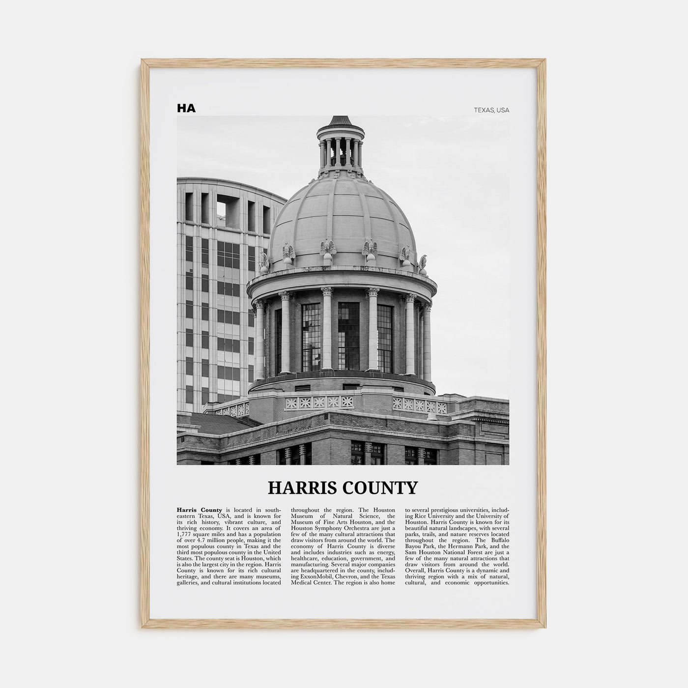 Harris County Travel B&W Poster