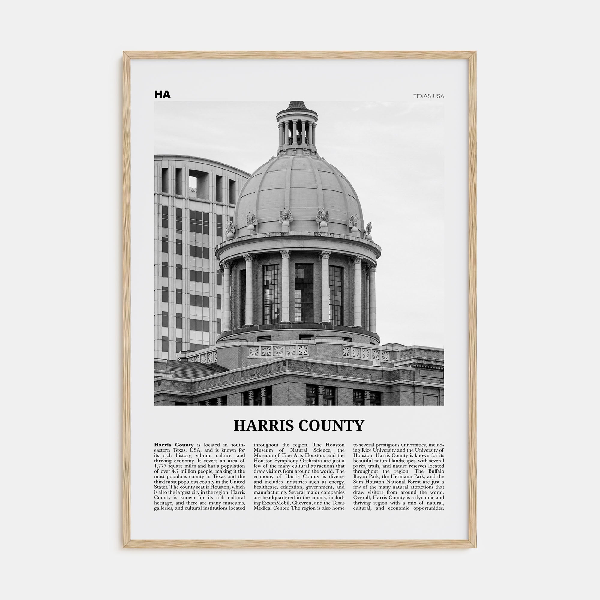 Harris County Travel B&W Poster