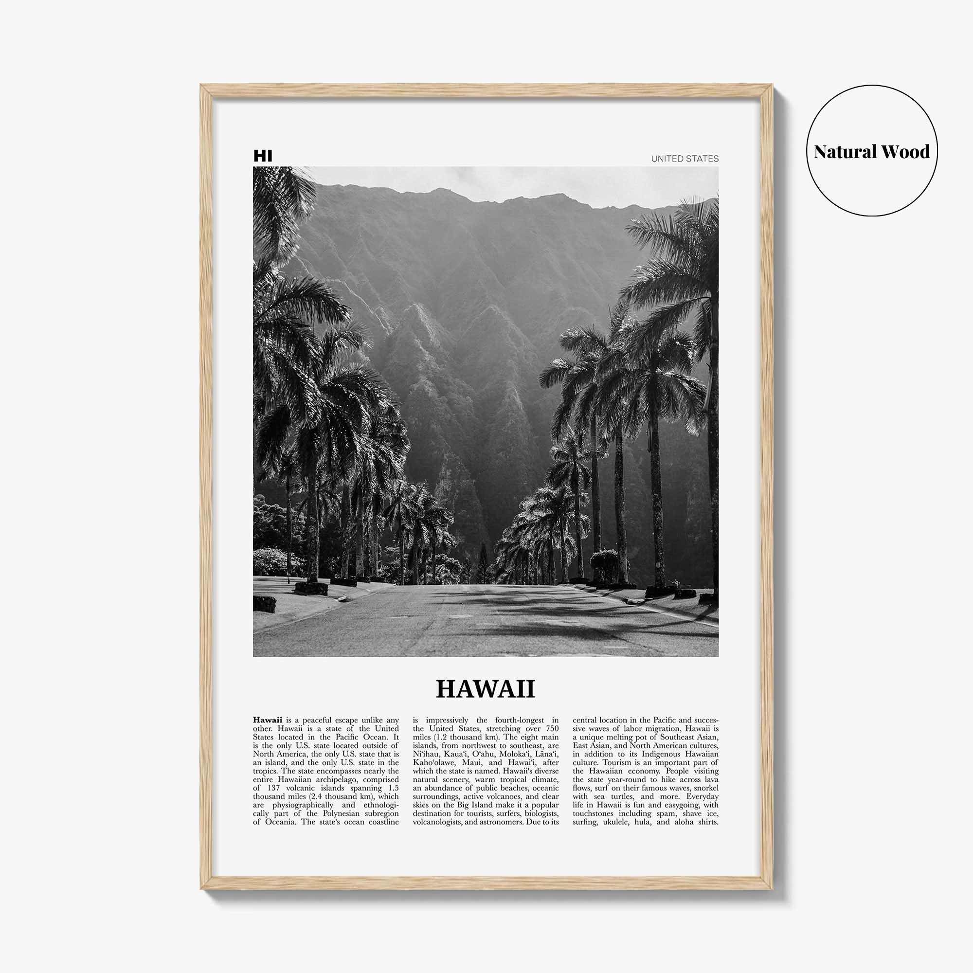 Hawaii Print Black and White No 2, Hawaii Wall Art, Hawaii Poster, Hawaii Photo, Hawaii Wall Decor, Hawaiian Islands Poster Print