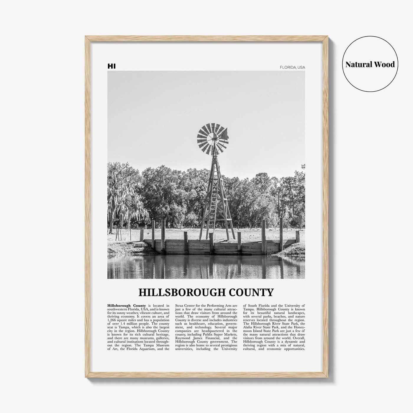 Hillsborough County Print Black and White, Hillsborough Wall Art, Hillsborough Poster, Hillsborough Photo, Wall Décor, Hillsborough Map