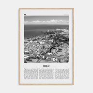 Hilo Travel B&W Poster