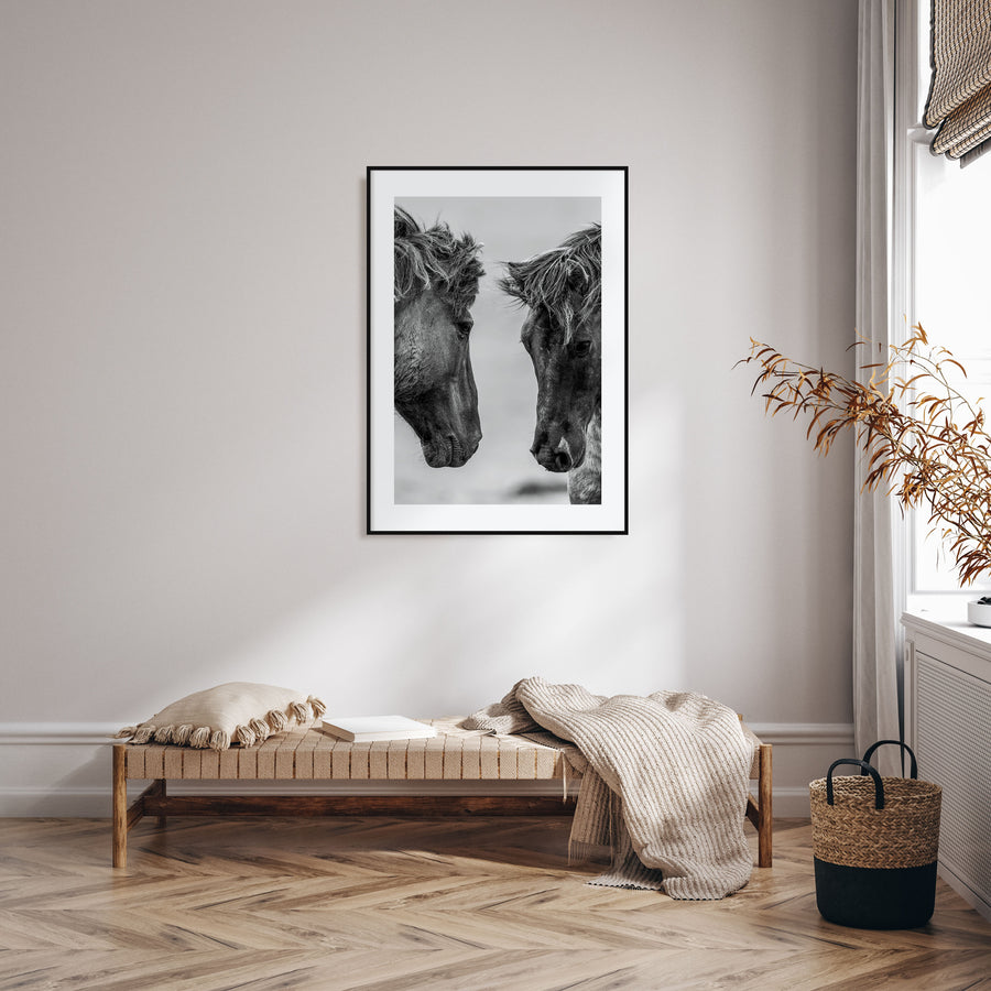 Horse Photo B&W No 3 Poster