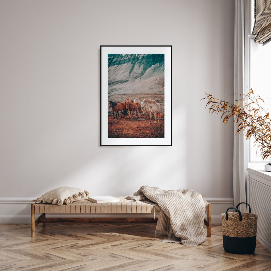 Horse Photo Color No 3 Poster