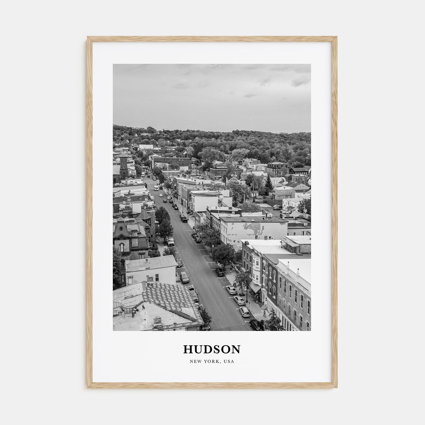 Hudson Portrait B&W Poster