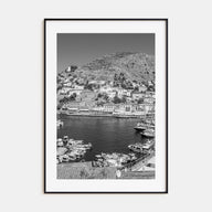 Hydra Photo B&W Poster
