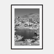 Hydra Photo B&W Poster