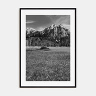 Idaho Photo B&W Poster