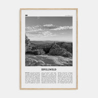 Idyllwild Travel B&W No 1 Poster