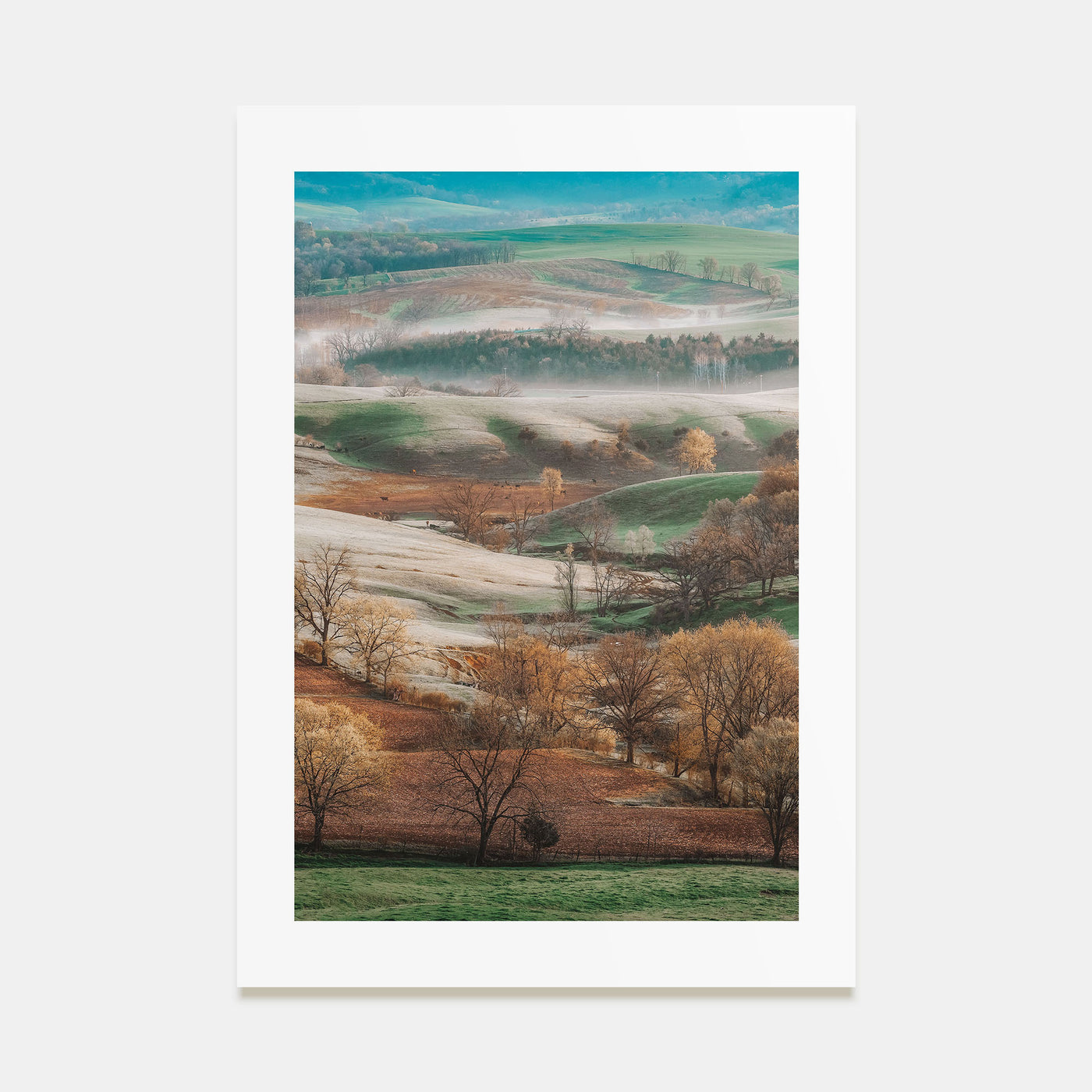 Illinois Photo Color No 1 Poster
