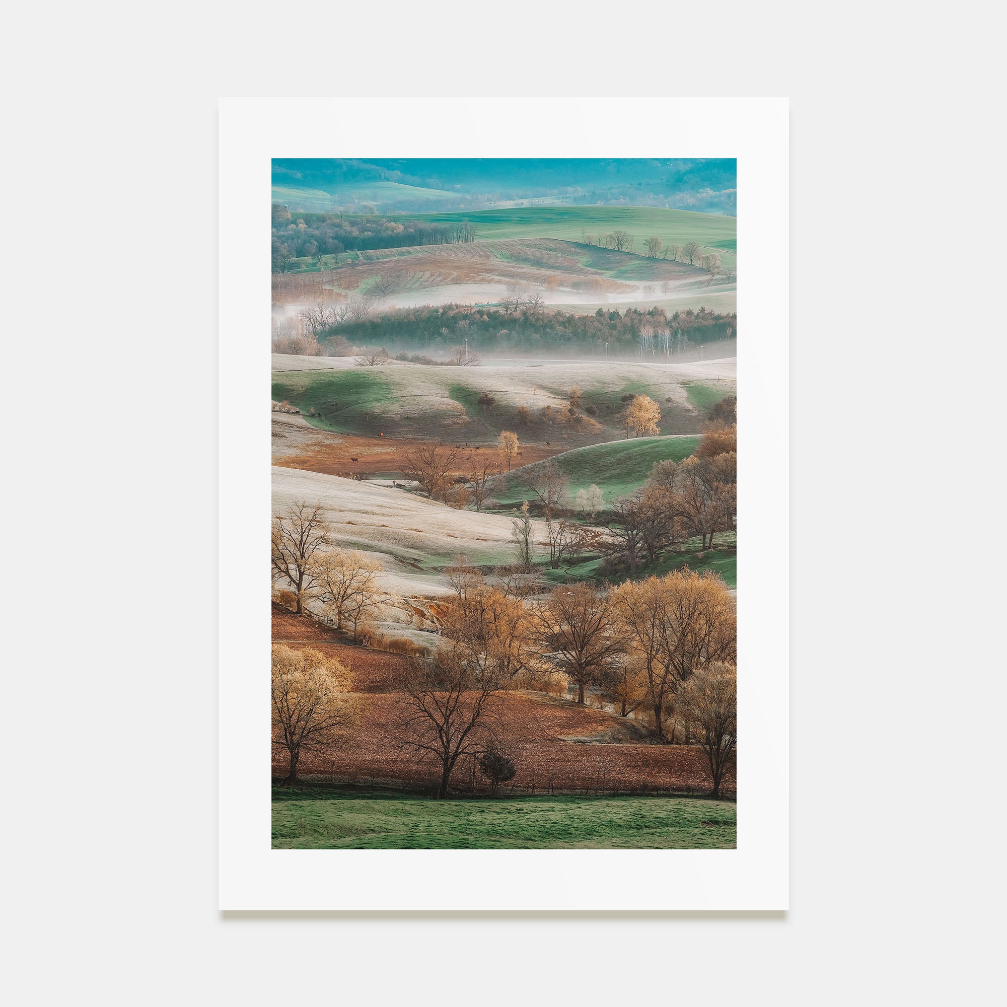Illinois Photo Color No 1 Poster