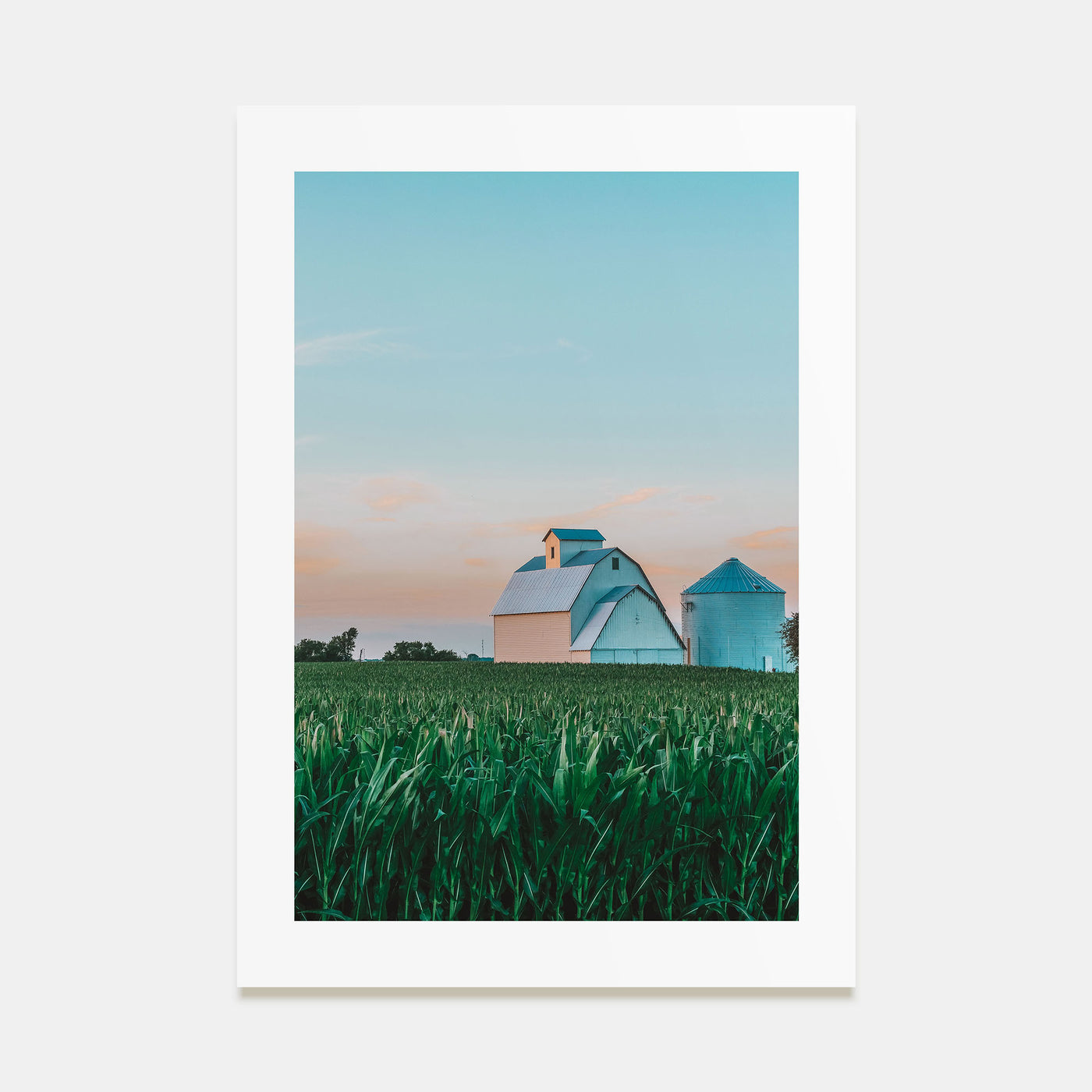 Illinois Photo Color No 2 Poster