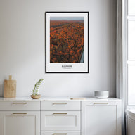 Illinois Portrait Color No 3 Poster