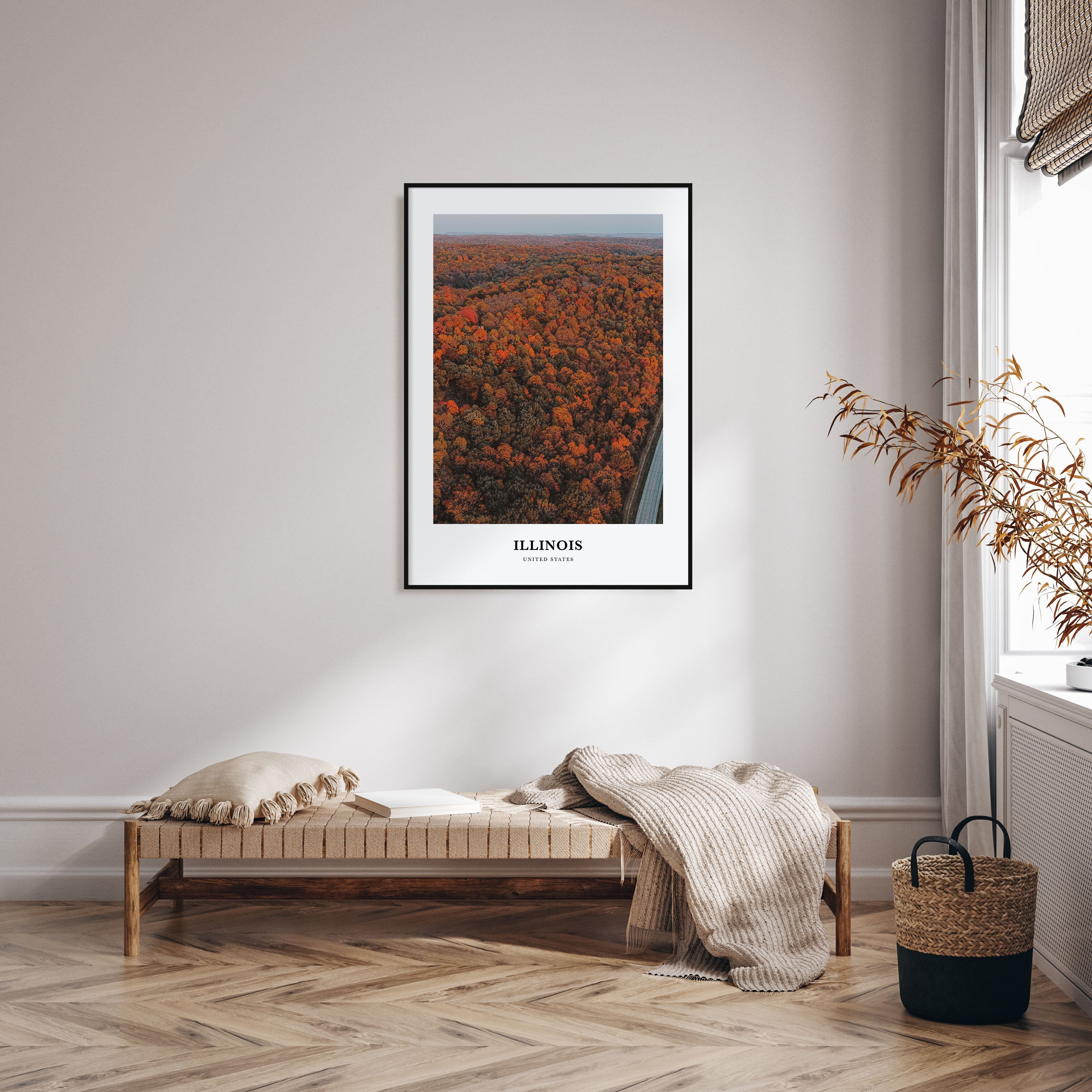 Illinois Portrait Color No 3 Poster
