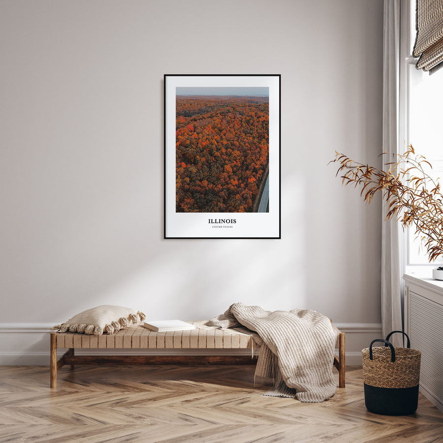 Illinois Portrait Color No 3 Poster