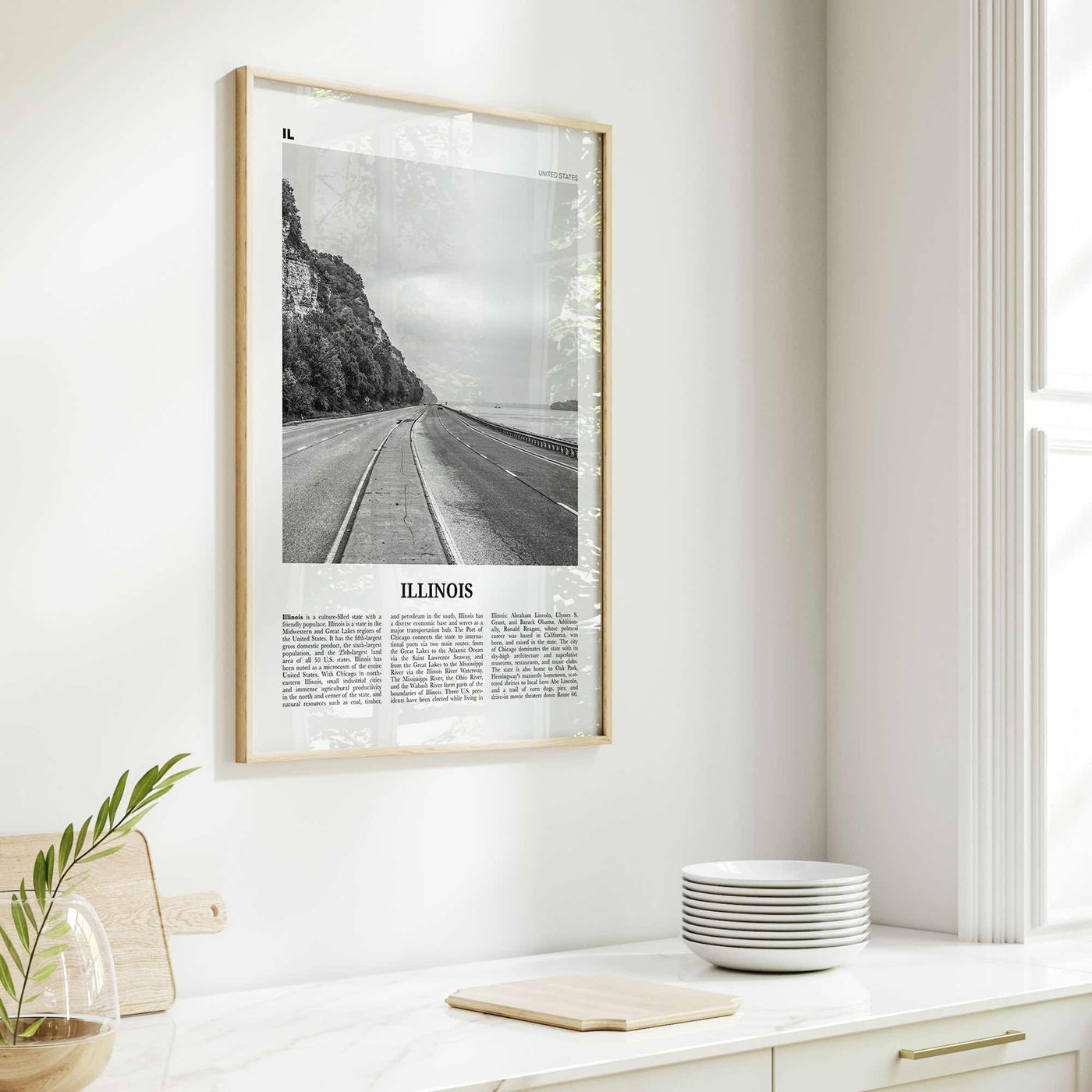 Illinois Print Black and White No 1, Illinois Wall Art, Illinois Poster, Illinois Photo, Illinois Wall Decor, USA, United States, America