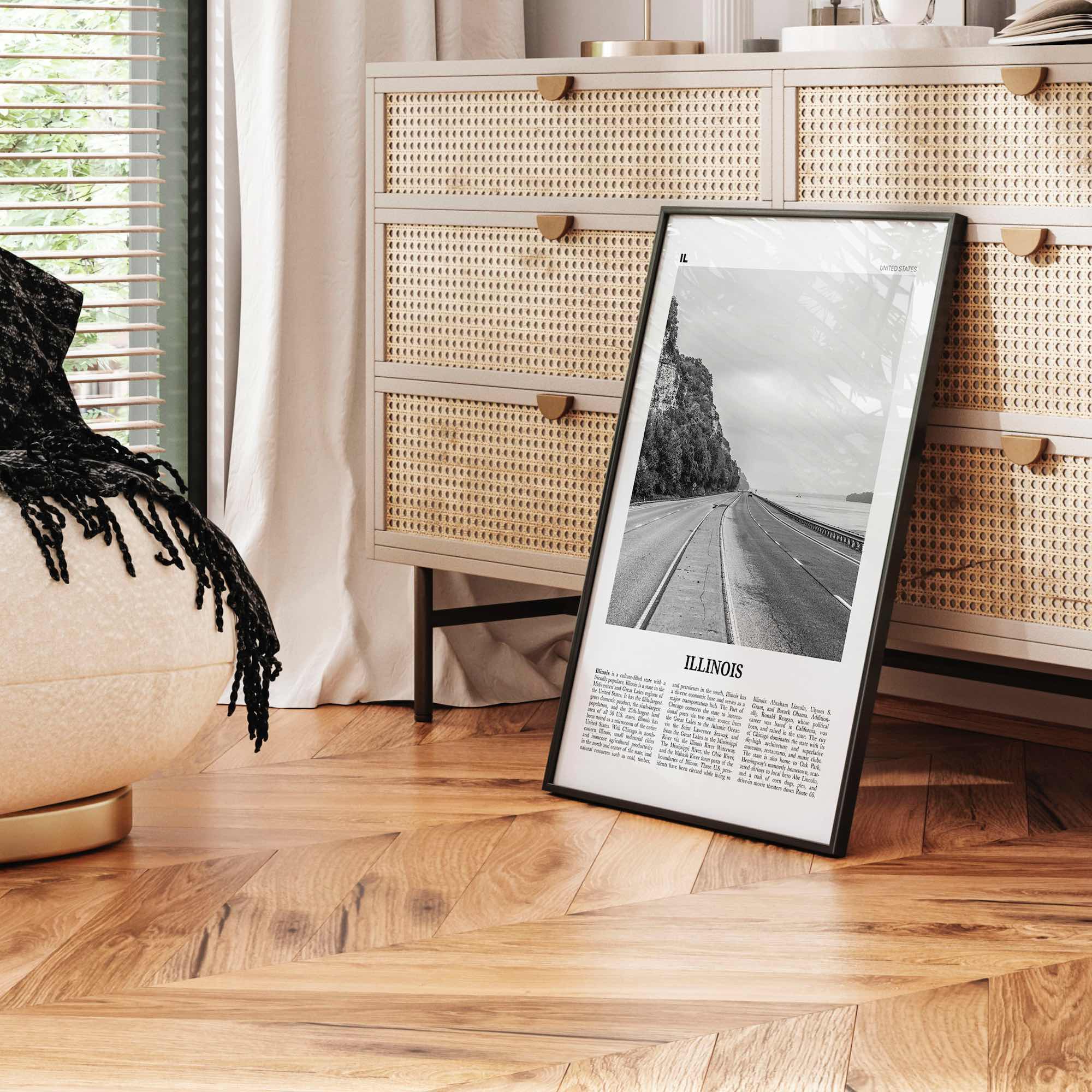 Illinois Print Black and White No 1, Illinois Wall Art, Illinois Poster, Illinois Photo, Illinois Wall Decor, USA, United States, America