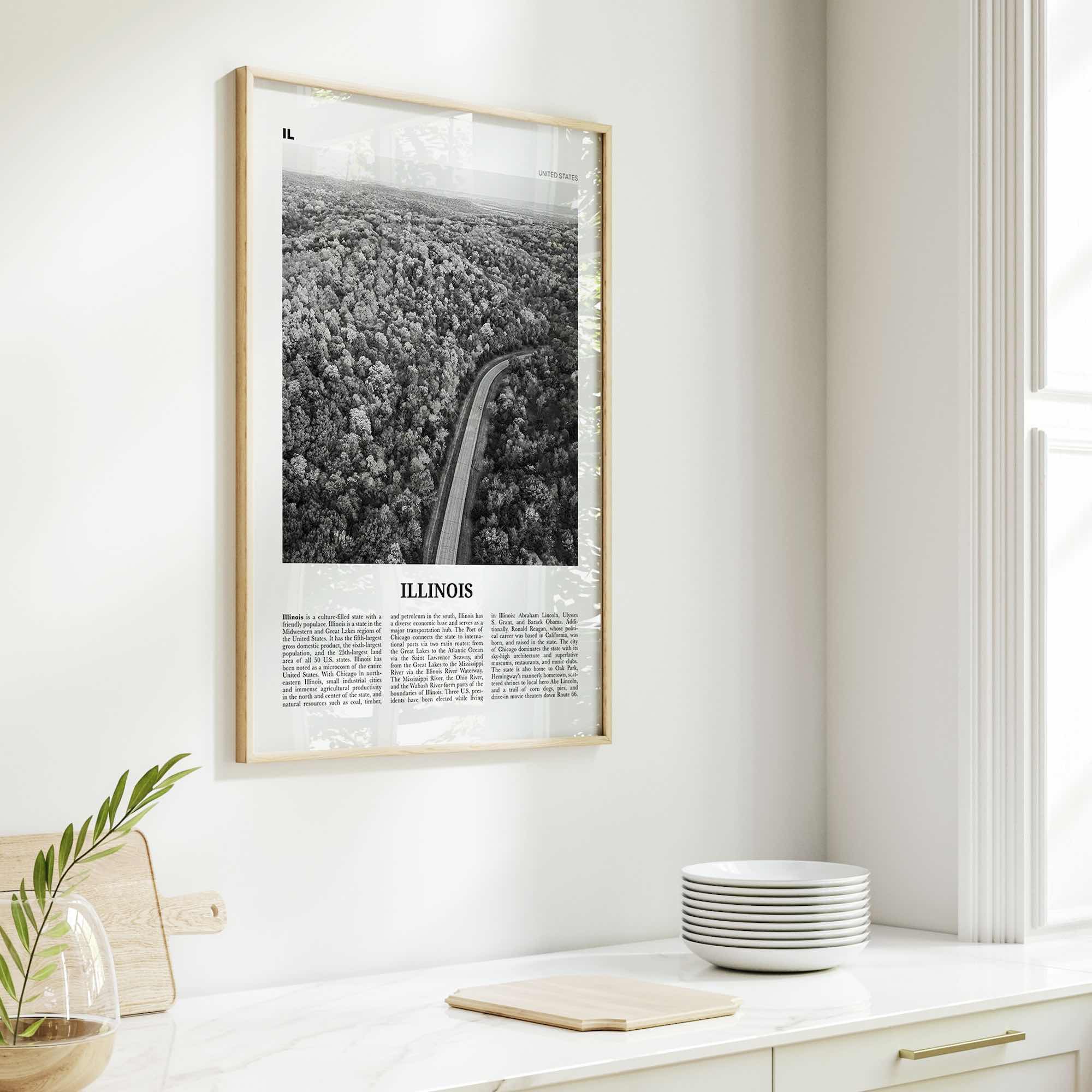 Illinois Print Black and White No 2, Illinois Wall Art, Illinois Poster, Illinois Photo, Illinois Wall Décor, Illinois Map, United States