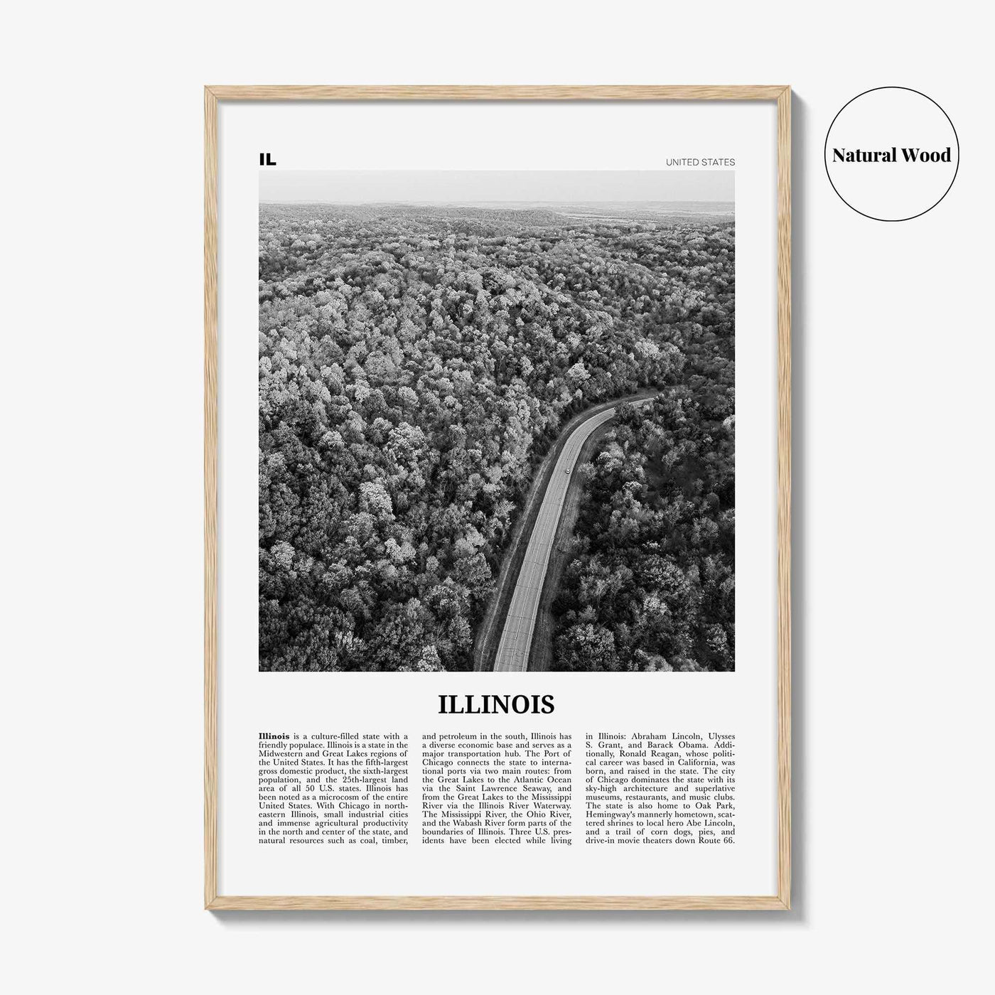 Illinois Print Black and White No 2, Illinois Wall Art, Illinois Poster, Illinois Photo, Illinois Wall Décor, Illinois Map, United States