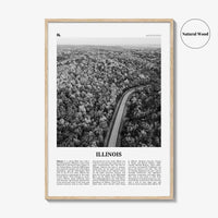 Illinois Print Black and White No 2, Illinois Wall Art, Illinois Poster, Illinois Photo, Illinois Wall Décor, Illinois Map, United States