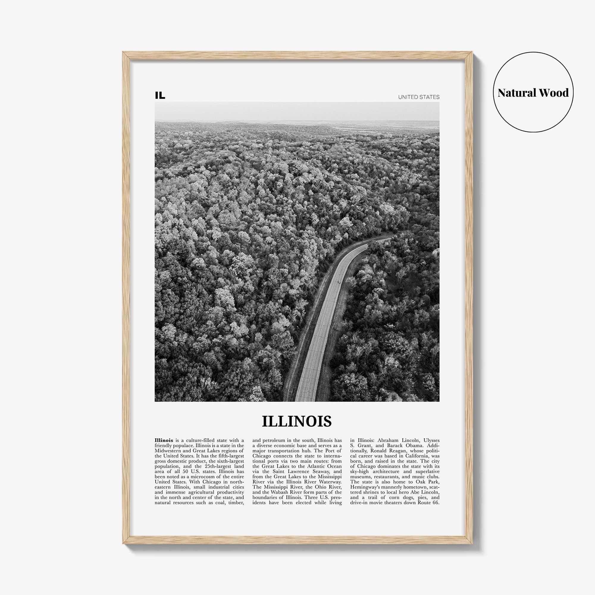 Illinois Print Black and White No 2, Illinois Wall Art, Illinois Poster, Illinois Photo, Illinois Wall Décor, Illinois Map, United States