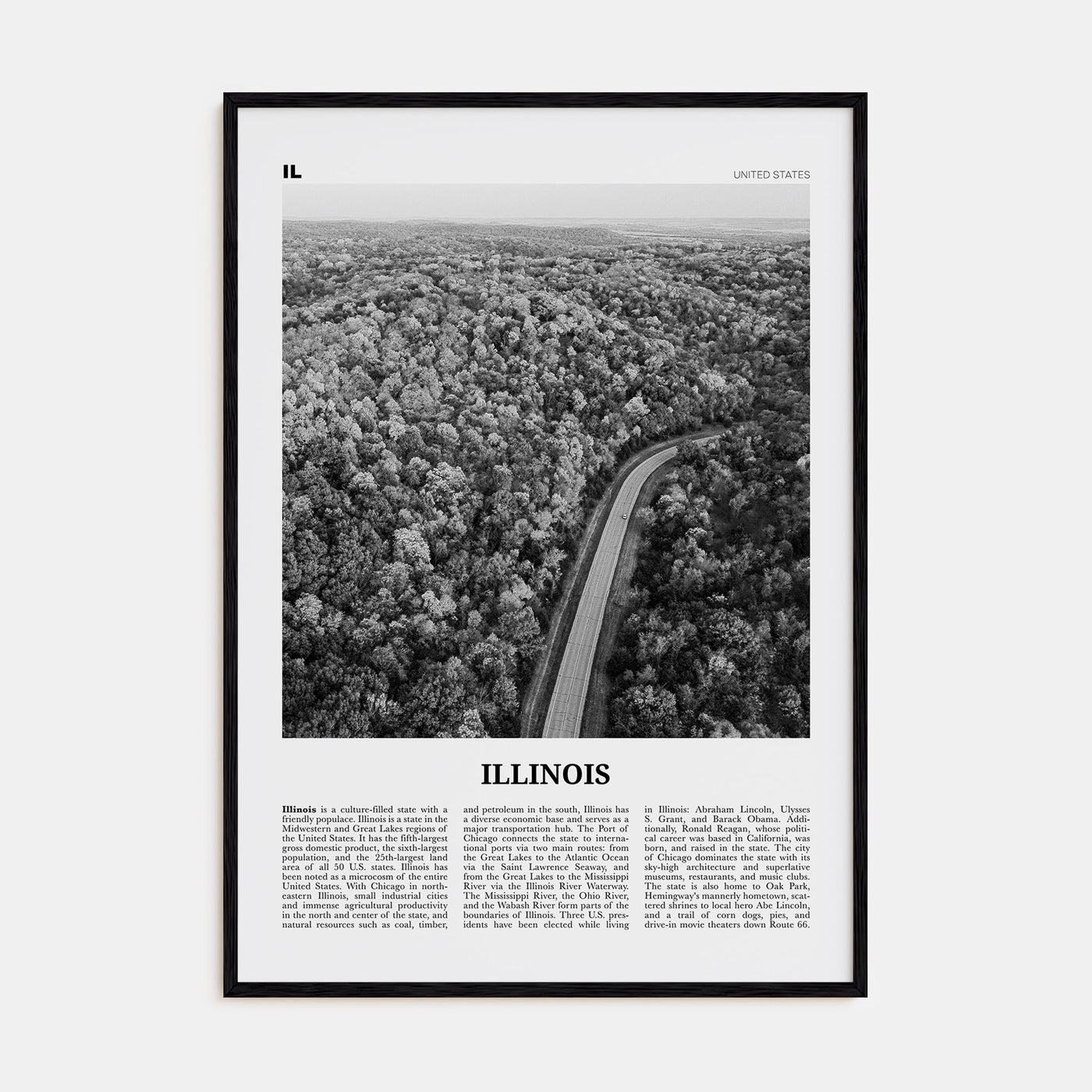 Illinois Travel B&W No 2 Poster