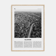 Illinois Travel B&W No 2 Poster